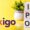 IXIGO IPO: An Uncommonly Successful IT Business to Enter The Market