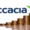 In Order To Develop Its Operations, the Startup Accacia Has Raised 54 Crore Rupees From Investors